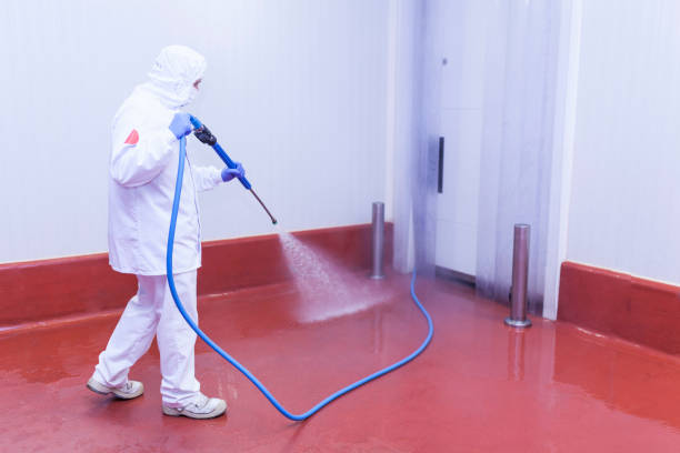 Best Post-Construction Pressure Washing  in Clewiston, FL