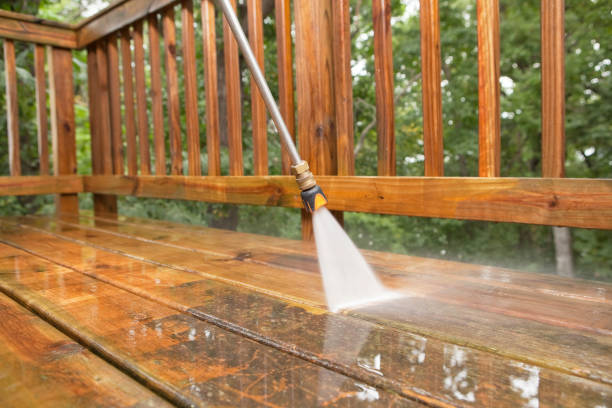 Solar Panel Cleaning in Clewiston, FL